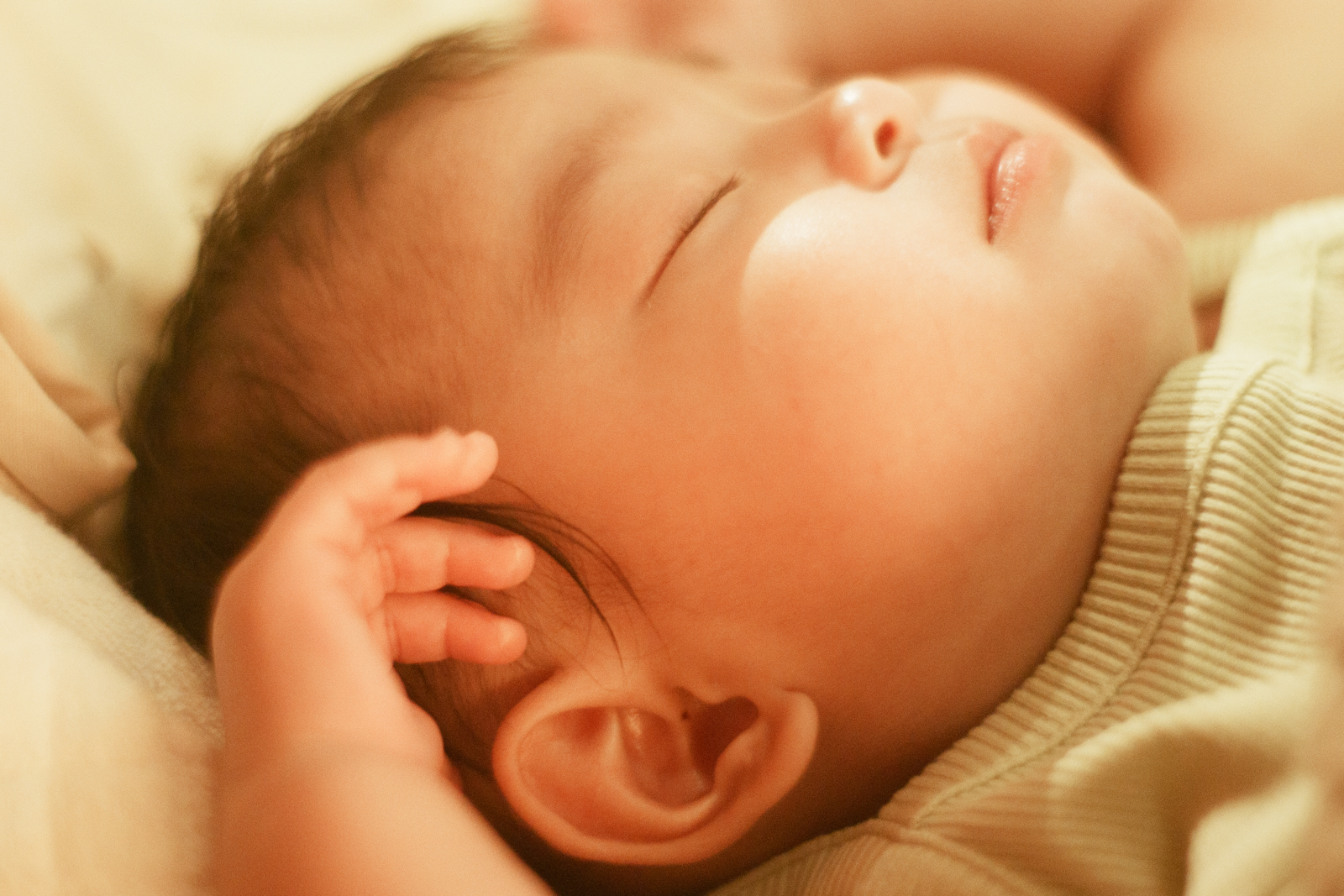 スタジオオープンのお知らせ